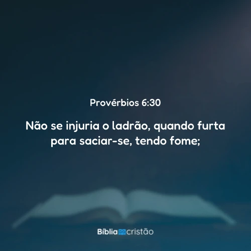 Provérbios 6:30