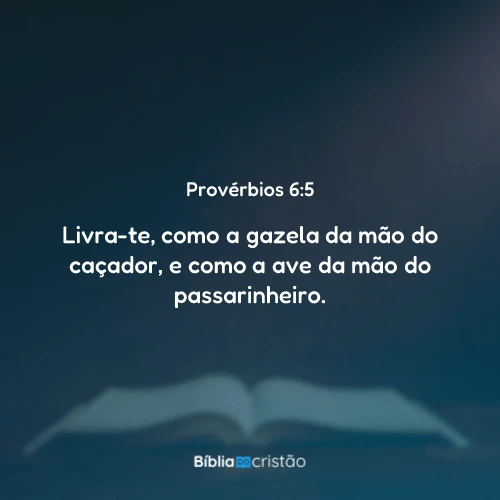 Provérbios 6:5