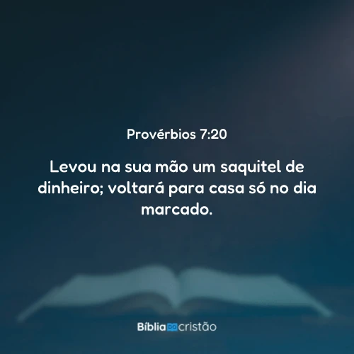 Provérbios 7:20