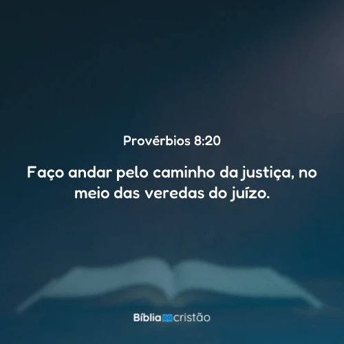 Provérbios 8:20