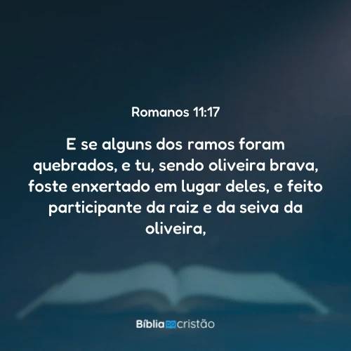 Romanos 11:17