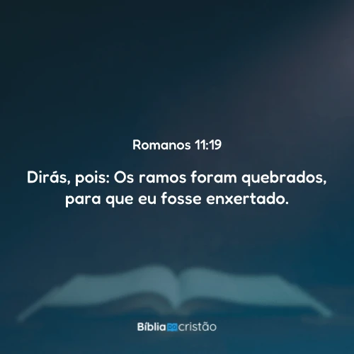 Romanos 11:19