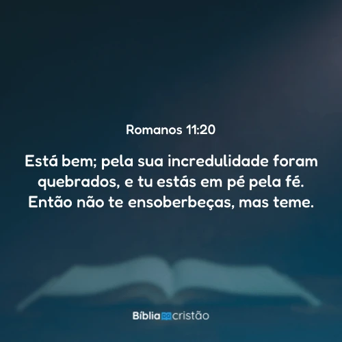 Romanos 11:20