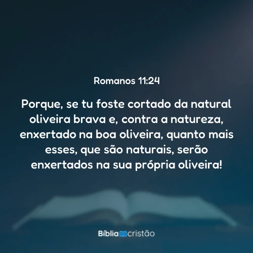 Romanos 11:24
