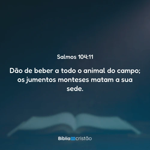 Salmos 104:11