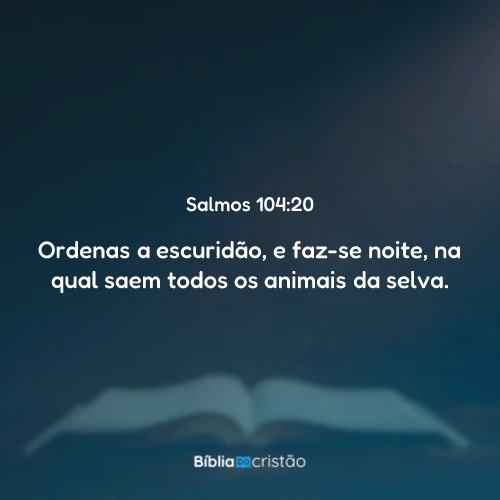 Salmos 104:20