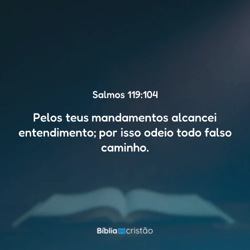 Salmos 119:104