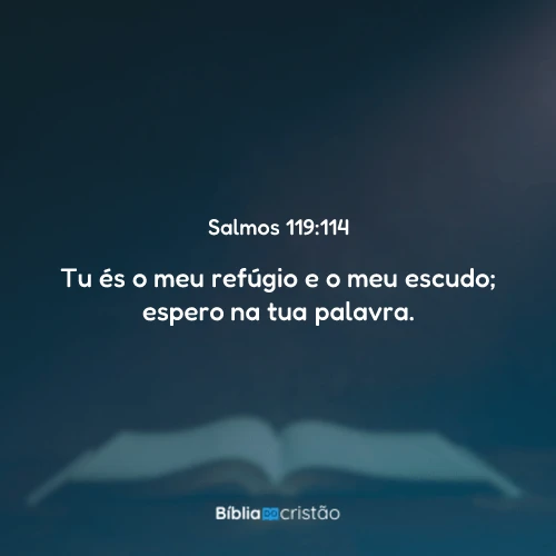 Salmos 119:114