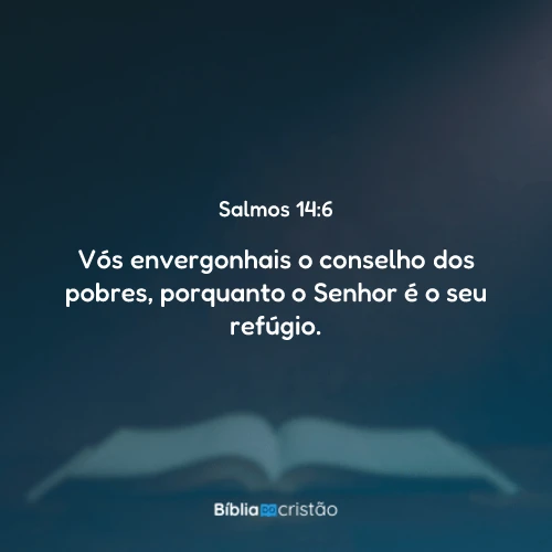 Salmos 14:6