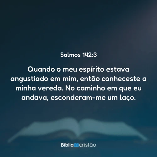 Salmos 142:3