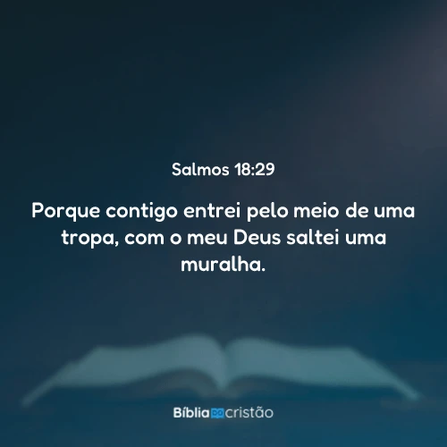 Salmos 18:29