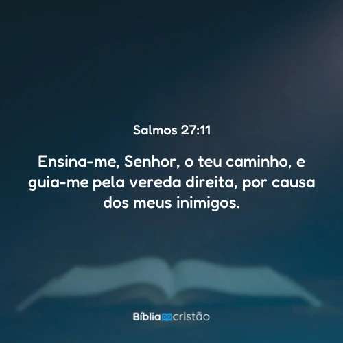 Salmos 27:11