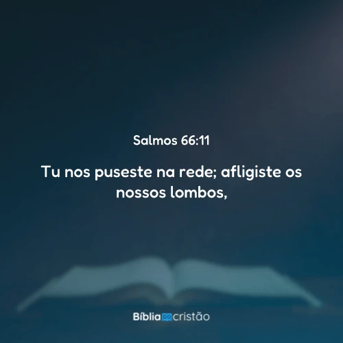 Salmos 66:11