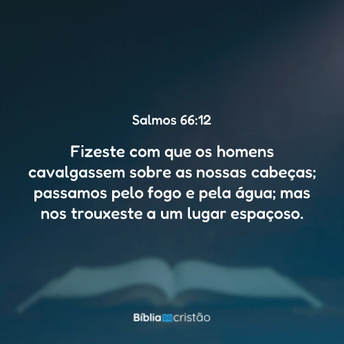 Salmos 66:12