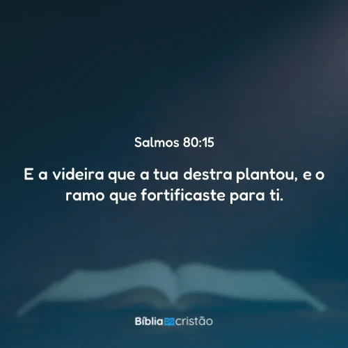 Salmos 80:15