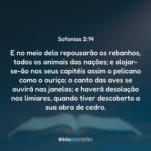 Sofonias 2:14