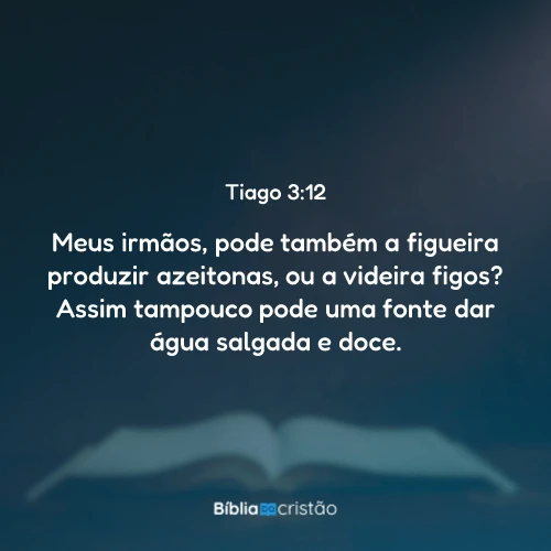 Tiago 3:12