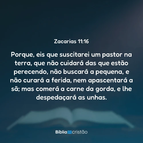Zacarias 11:16