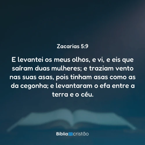 Zacarias 5:9